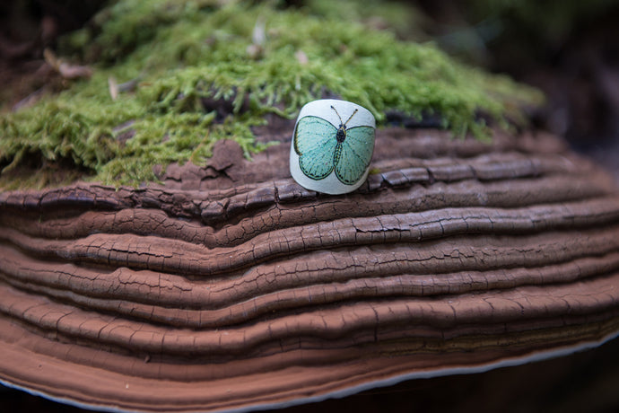 Δαχτυλίδι βάσης ξύλινο, πράσινη πεταλούδα