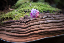 Load image into Gallery viewer, Δαχτυλίδι βάσης ξύλινο, ροζ λουλούδια